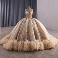 Luxury Nude Off-Shoulder Floral 3D Appliques Ball Gown HM251088