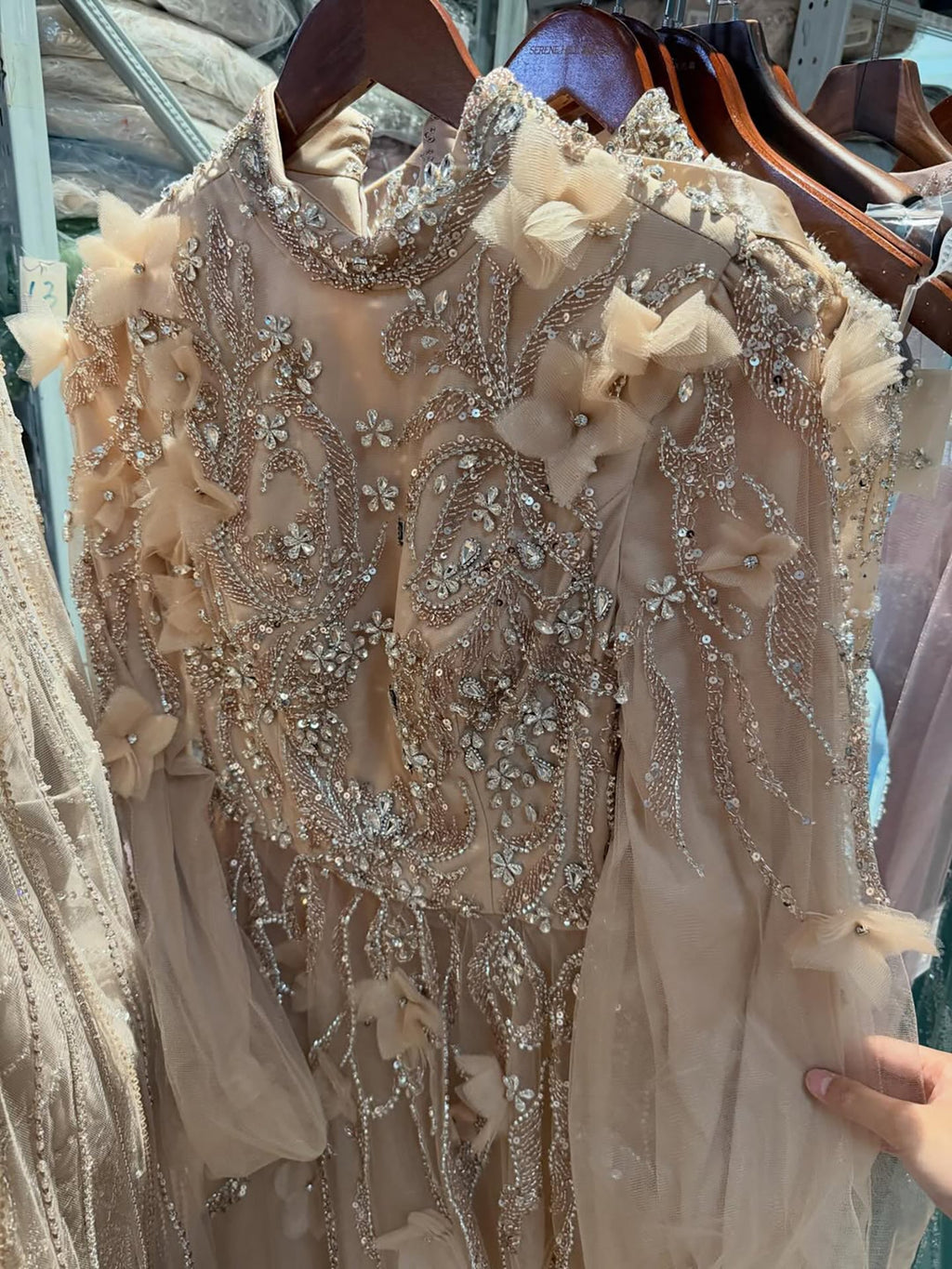 Luxury Nude Crystal Beaded Long Sleeve A-Line Evening Dress CLA73406